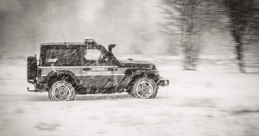 Польскія памежнікі затрымалі 31 іранца, якія ішлі з боку Беларусі