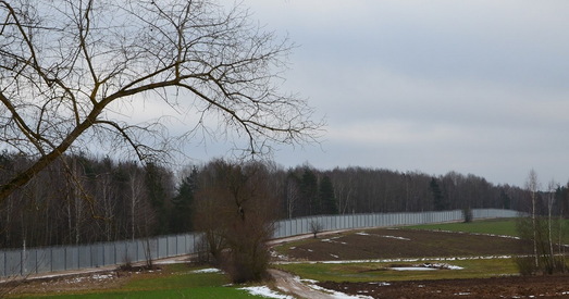 Краіны ЕС за мінулыя суткі спынілі 95 мігрантаў з Беларусі