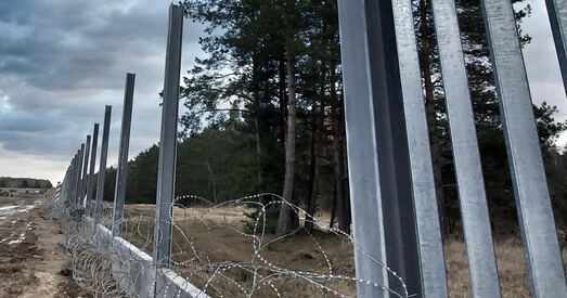 За суткі незаконна пранікнуць у Польшчу з Беларусі спрабавалі 36 чалавек