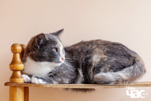 fmrqjz97dfw_logo.jpg fmrqjz97dfw_logo.jpg