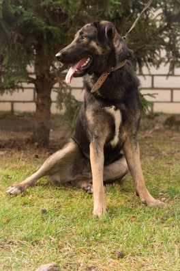 focvliy6iag_logo.jpg focvliy6iag_logo.jpg