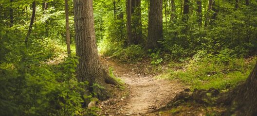 mvd.riga.lv mvd.riga.lv