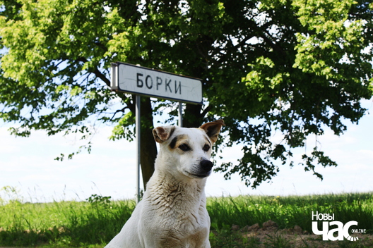 fota7_1_logo.jpg fota7_1_logo.jpg