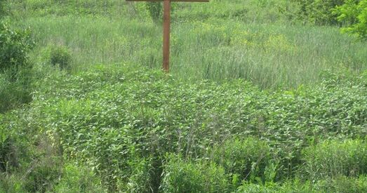 Трасцянец як сімвал злачынстваў сталінізму і фашызму