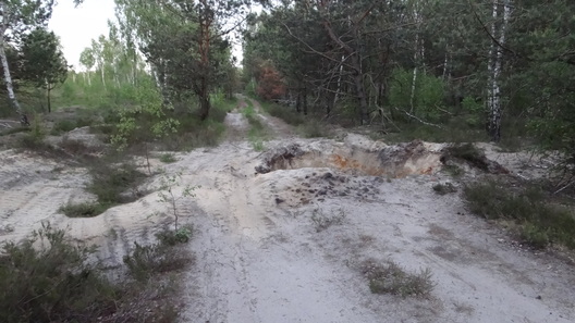 Падарваны на лясной дарозе фугас Падарваны на лясной дарозе фугас