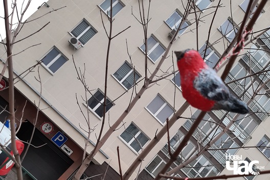 Фота Арыны Сянькевіч Фота Арыны Сянькевіч