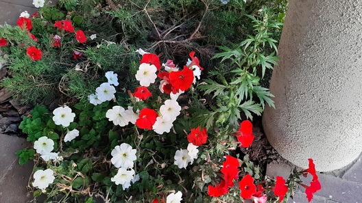 Фота Арыны Сянькевіч Фота Арыны Сянькевіч