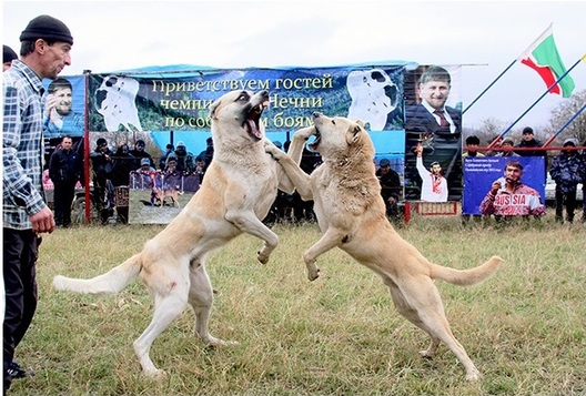 РИА Новости РИА Новости