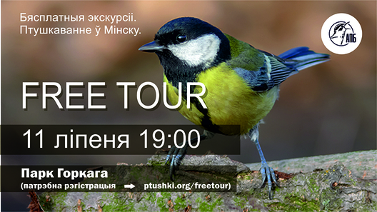 free_tour_11_07_800.jpg free_tour_11_07_800.jpg
