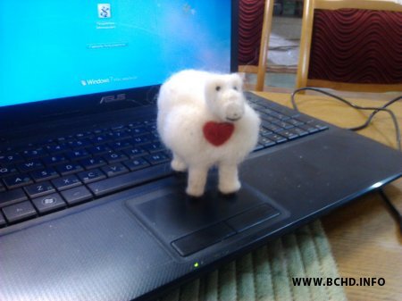 5/5 1433323302_img_20150529_171230.jpg