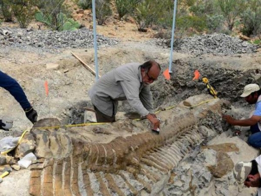 2/4 558497_2_w_1000.jpg