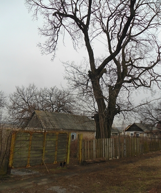 Хата Насці Гасанавай Хата Насці Гасанавай