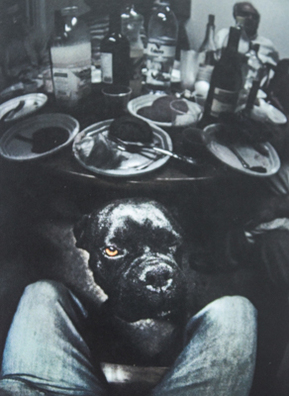 14/15 img_6780_logo.jpg