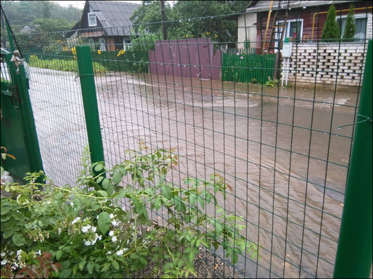 5/6 raka_na_vulicy.jpg