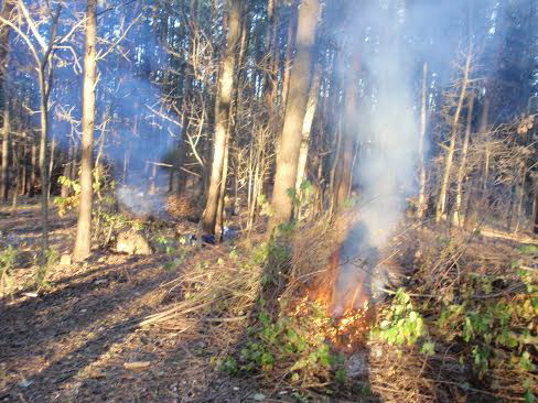 6/6 talaka_aposhni_dzen2014_05.jpg