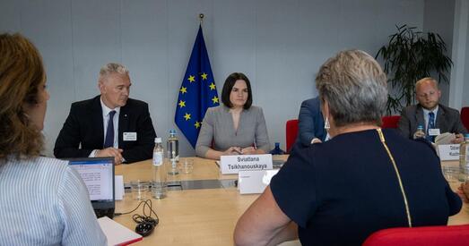 Пры Еўракамісіі з'явіцца «беларуская» спецгрупа