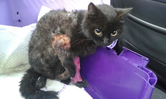 g86s9hzkkjw_logo.jpg g86s9hzkkjw_logo.jpg