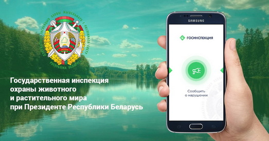Дзяржінспекцыя аховы жывёльнага і расліннага свету запусціла дадатак для паведамленняў аб браканьерах