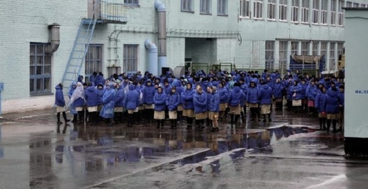 gomel_kaloniya.jpeg gomel_kaloniya.jpeg