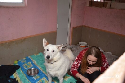 greenbelarus.info__files_field_ima_856fd435afe075f5577dd478cc59e5b1.jpeg greenbelarus.info__files_field_ima_856fd435afe075f5577dd478cc59e5b1.jpeg