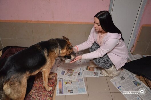 greenbelarus.info__files_field_ima_b8dfea68728abe02d786e385d330e803.jpeg greenbelarus.info__files_field_ima_b8dfea68728abe02d786e385d330e803.jpeg