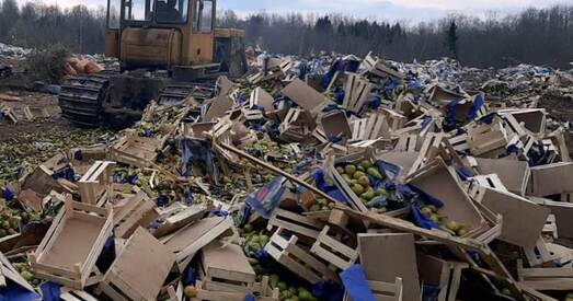 Рассельгаснагляд узяўся за «санкцыёнку»? У Расію не пусцілі 40 тон прадукцыі з Беларусі