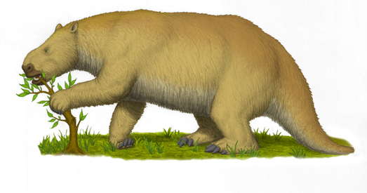 Вучоныя здолелі вылучыць ДНК старажытнага гіганцкага ляніўца