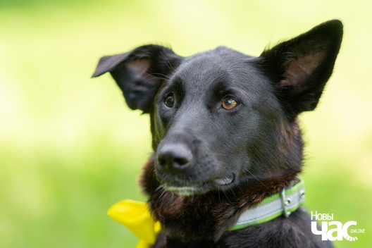 gvrg4l5q__g_logo.jpg gvrg4l5q__g_logo.jpg