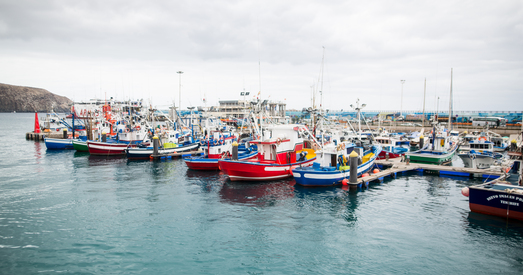 Развагі ля акіяна. «Дыктатура і паўсюдны гвалт як спосаб прайсці ўрокі экстэрнам — не працуюць»
