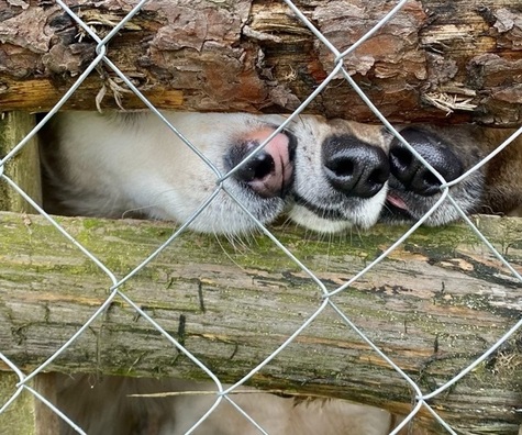 Фота са старонкі хоспіса ў сацсетках Фота са старонкі хоспіса ў сацсетках