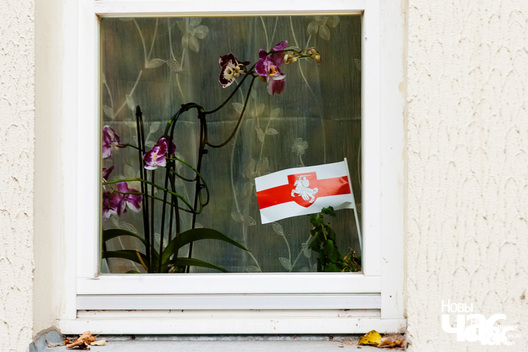 Беларускі нацыянальны герб «Пагоня» і бел-чырвона-белы сцяг. Ілюстрацыйнае фота «НЧ» Беларускі нацыянальны герб «Пагоня» і бел-чырвона-белы сцяг. Ілюстрацыйнае фота «НЧ»