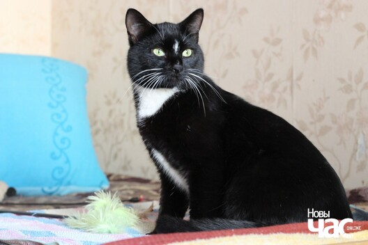 hu9vrqyxx60_logo.jpg hu9vrqyxx60_logo.jpg