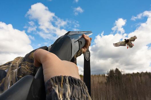 huntingduck_shutterstock.com.jpg huntingduck_shutterstock.com.jpg