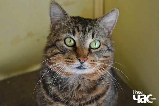 i1tepwlpa9e_logo.jpg i1tepwlpa9e_logo.jpg