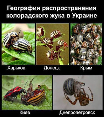 ic.pics.livejournal.com__corvusalba1_689_e49a395430aa252d56da0703d7196f8b.jpeg ic.pics.livejournal.com__corvusalba1_689_e49a395430aa252d56da0703d7196f8b.jpeg