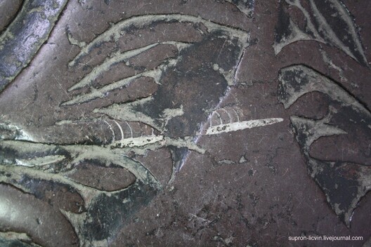 ic.pics.livejournal.com__supron_licvin_3_465800eb20664f91d095fd6ce02c1cb9.jpeg ic.pics.livejournal.com__supron_licvin_3_465800eb20664f91d095fd6ce02c1cb9.jpeg