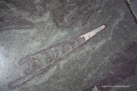 ic.pics.livejournal.com__supron_licvin_3_ded7cc4b0bb76402aeafe350b7f9dc70.jpeg ic.pics.livejournal.com__supron_licvin_3_ded7cc4b0bb76402aeafe350b7f9dc70.jpeg