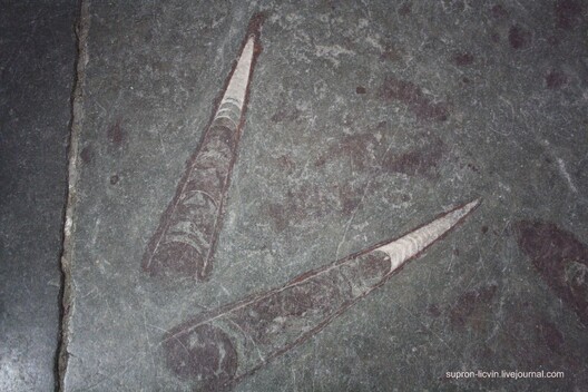 ic.pics.livejournal.com__supron_licvin_3_eca5f3190f1ec0cfa10eb4b9e0f67082.jpeg ic.pics.livejournal.com__supron_licvin_3_eca5f3190f1ec0cfa10eb4b9e0f67082.jpeg