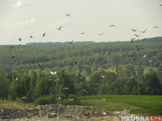 image00002_2.jpg image00002_2.jpg