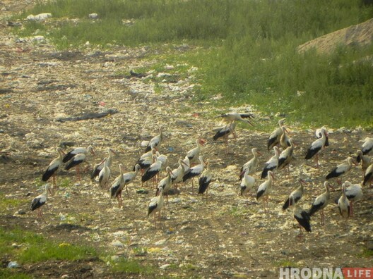 image00009_1.jpg image00009_1.jpg