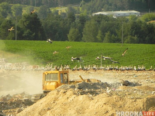 image00013.jpg image00013.jpg