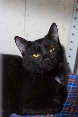 image_17_03_20_12_52_2_logo.jpeg image_17_03_20_12_52_2_logo.jpeg