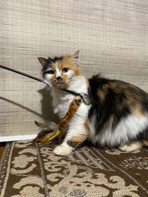 3/4 image_18_03_20_09_39_logo.jpeg