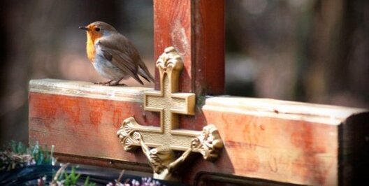 images_cms_image_000030040_1.jpg images_cms_image_000030040_1.jpg