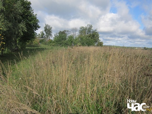 img_1108_logo.jpg img_1108_logo.jpg