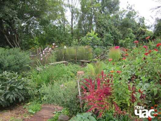 img_1115_logo.jpg img_1115_logo.jpg