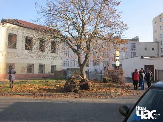 img_1201_logo.jpg img_1201_logo.jpg