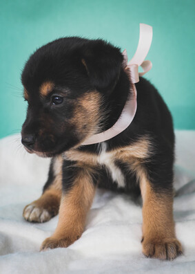 img_1368_logo.jpg img_1368_logo.jpg