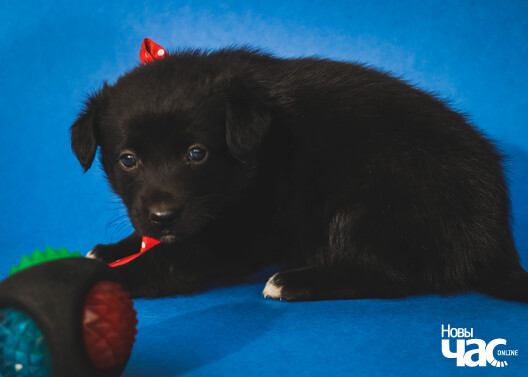 img_1473_logo.jpg img_1473_logo.jpg