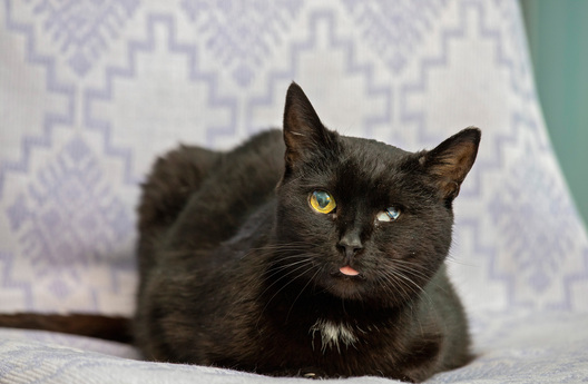 img_1650_logo.jpg img_1650_logo.jpg